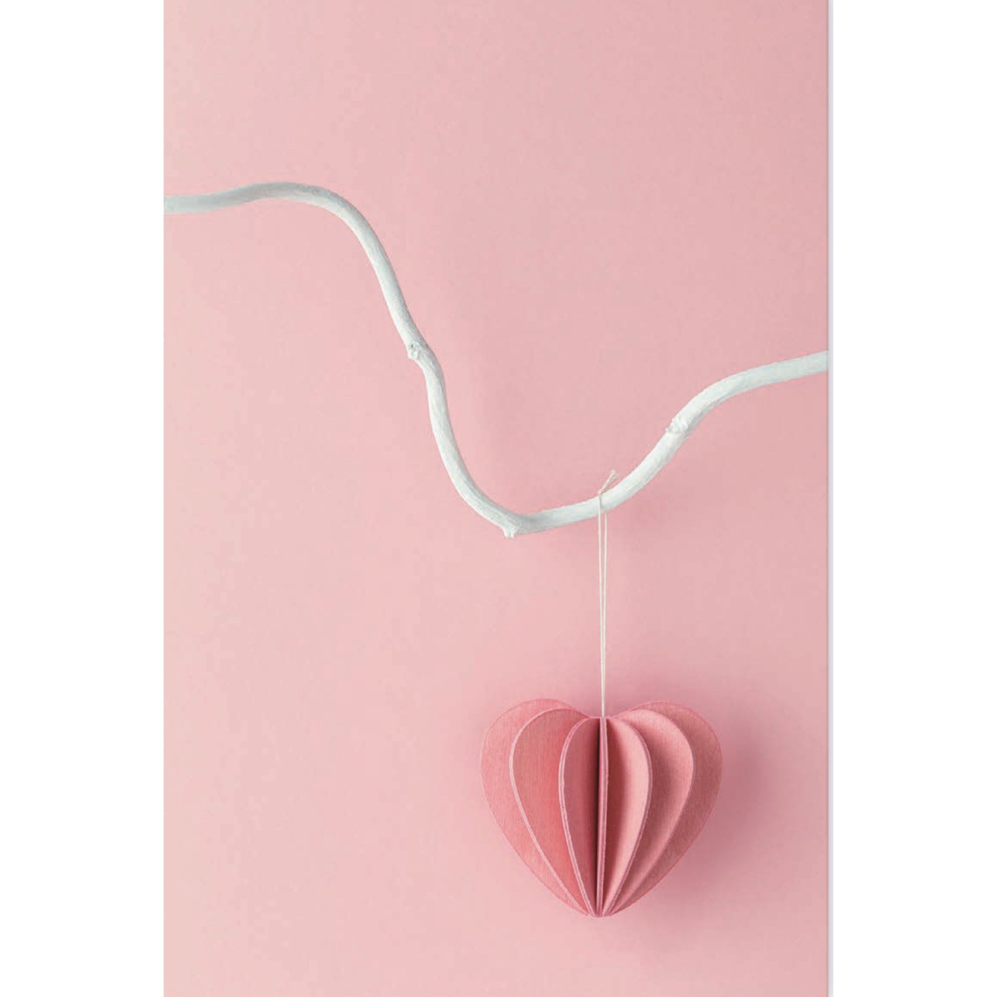 アンネ・パソ展/ポストカード/Lovi/ピンクハー | Söpö Museo