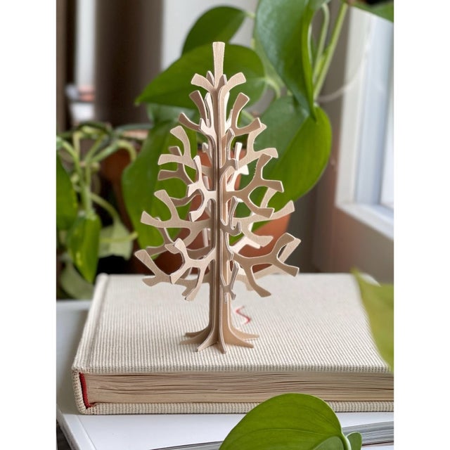 もみの木/クリスマスツリー | lovi